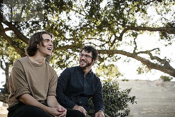 Niedriger Blickwinkel auf glückliche Brüder  die sich unterhalten  während sie im Park an Bäumen sitzen