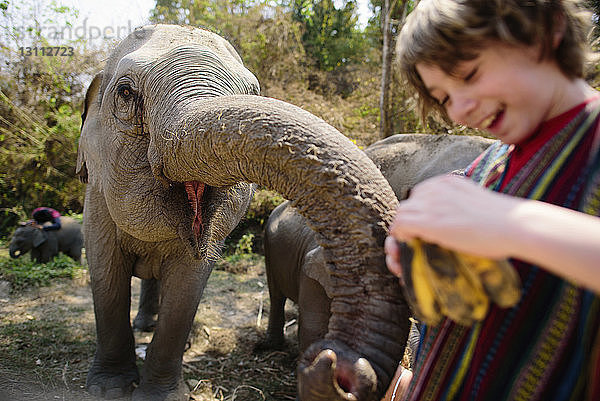 Junge füttert Elefant mit Früchten