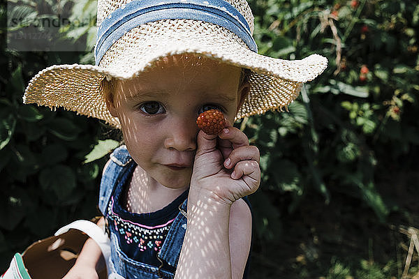 Porträt eines Mädchens  das Himbeeren bei der Ernte auf dem Bauernhof zeigt