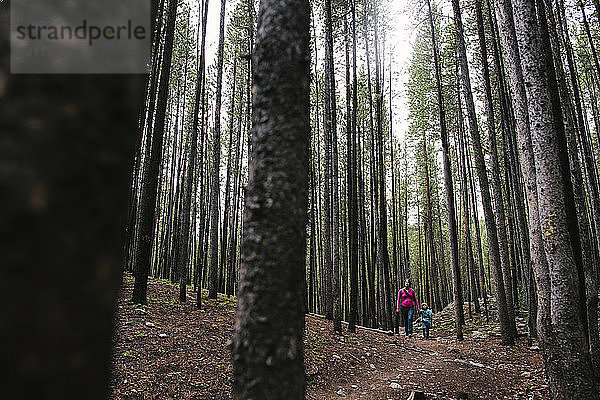 Mutter und Tochter auf dem Feld inmitten von Bäumen im Wald