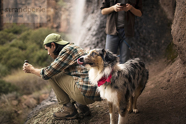 Freunde telefonieren neben dem im Wald stehenden Hund