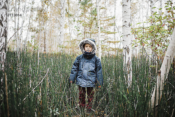 Bildnis eines Jungen mit Kapuzenjacke  der mitten im Wald steht
