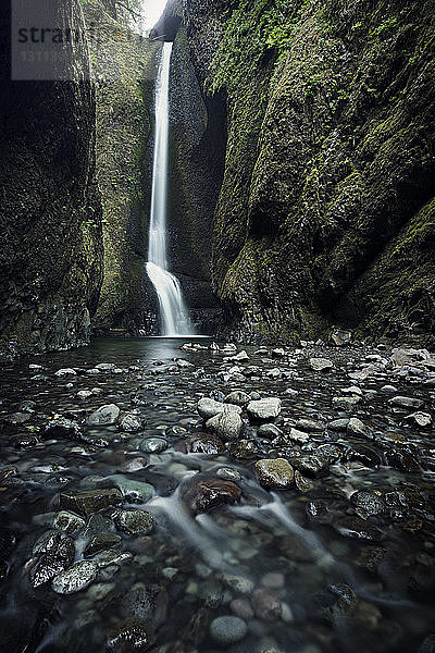 Niedrigwinkelansicht eines idyllischen Wasserfalls im Wald