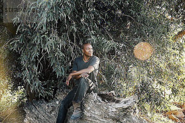 Landwirt schaut weg  während er auf einem Baumstamm sitzt