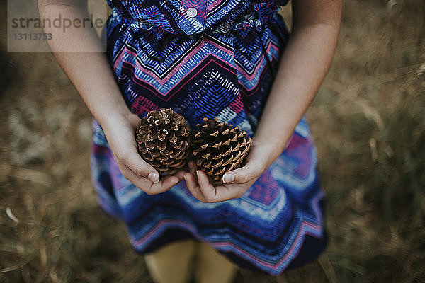 Mädchen in blauem Kleid mit Kiefernzapfen im Mittelteil