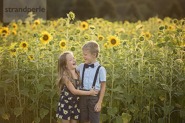 Fröhliche Schwester steht dem Bruder gegen Sonnenblumen auf dem Feld zur Seite