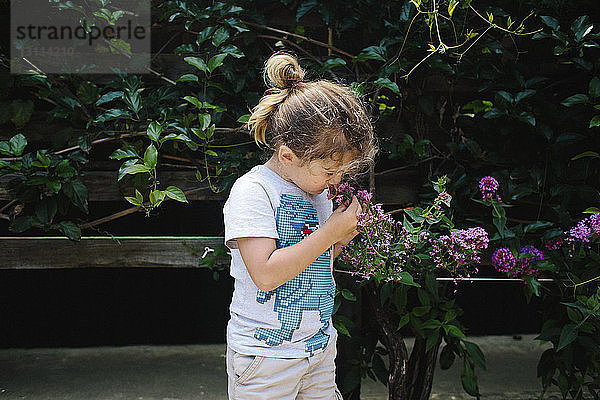 Neugieriges Mädchen riecht an einer Blume  während es im Hinterhof steht