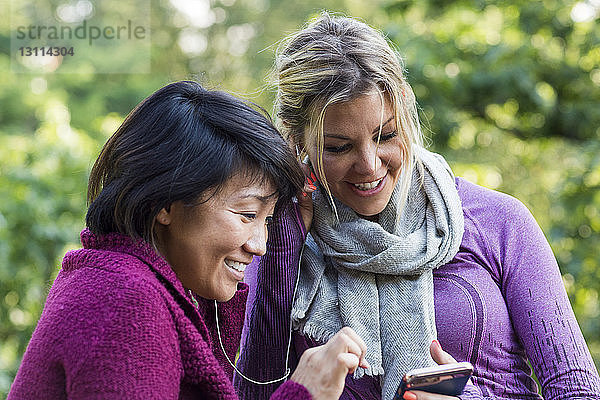 Glückliche Freundinnen hören Musik  während sie im Park ein Smartphone benutzen