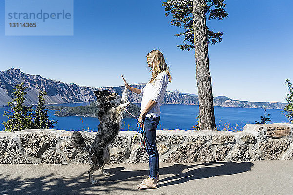 Frau gibt verspieltem Hund High-Five  während sie am See steht