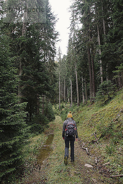 Rückansicht einer Frau mit Rucksack auf einem Wanderweg im Prokletije-Nationalpark