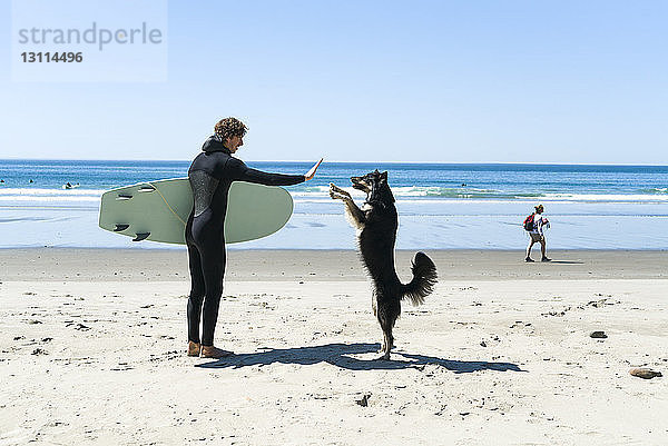 Mann gibt Hund am Strand bei klarem Himmel ein High-Five