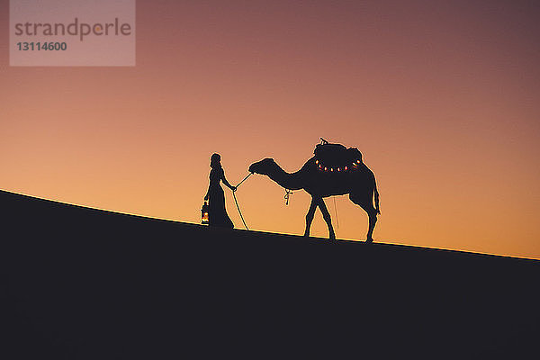 Scherenschnittfrau mit Kamel beim Spaziergang in der Sahara vor klarem Himmel