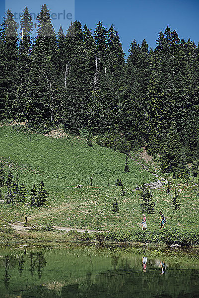 Seitenansicht von Mädchen  die auf dem Feld am Fluss im Wald spazieren gehen