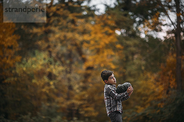 Seitenansicht eines Jungen mit Kürbis im Park