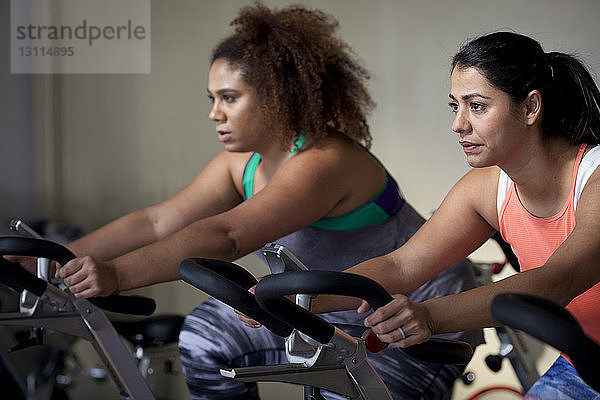 Freundinnen trainieren auf Heimtrainern im Fitnessstudio