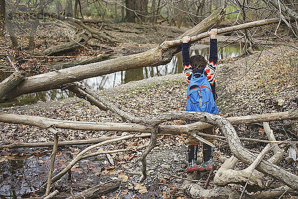 Rückansicht eines Jungen mit Rucksack  der an einem umgefallenen Baum im Wald hängt
