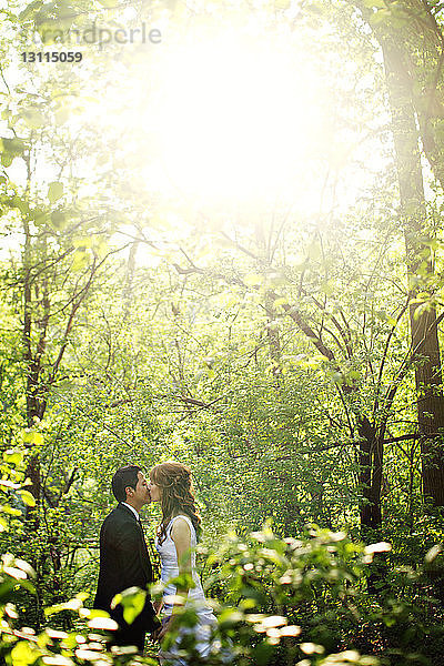 Seitenansicht eines sich im Wald küssenden Paares