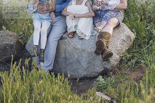 Niedriger Teil der Eltern sitzt mit den Töchtern auf einem Felsen im Park