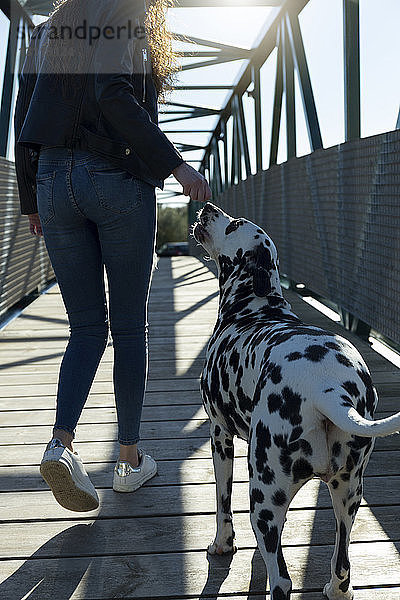 Niedrige Sektion einer Frau mit Dalmatinerin  die auf einer Fußgängerbrücke geht
