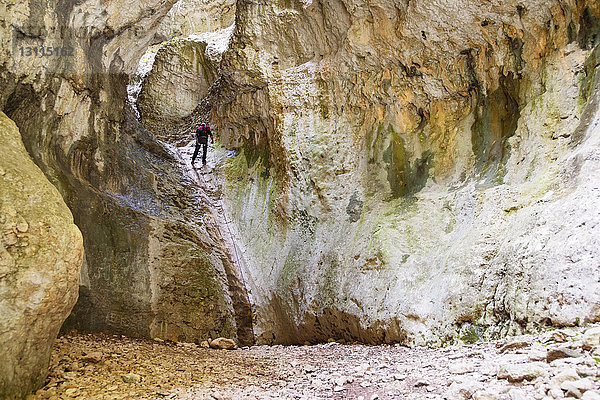 Rückansicht eines Bergsteigers beim Bergwandern