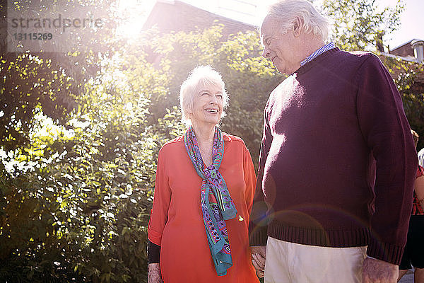 Älteres Ehepaar hält an einem sonnigen Tag im Park Händchen und steht