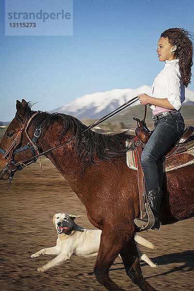 Seitenansicht eines Teenagers auf einem Pferd bei klarem Himmel