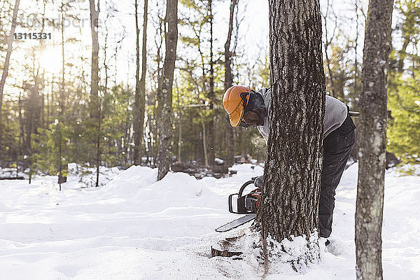 Holzfäller beim Fällen von Baumstämmen im Wald im Winter
