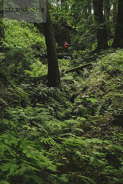 Fernblick einer Frau mit ausgestreckten Armen auf einem Baumstamm im Wald stehend