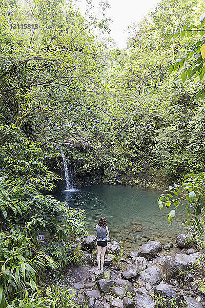 Rückansicht einer Wanderin  die auf der Insel Maui steht