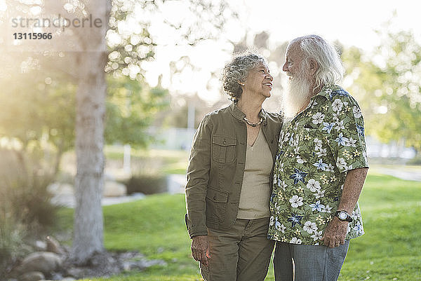 Älteres Ehepaar  das sich im Park von Angesicht zu Angesicht gegenübersteht