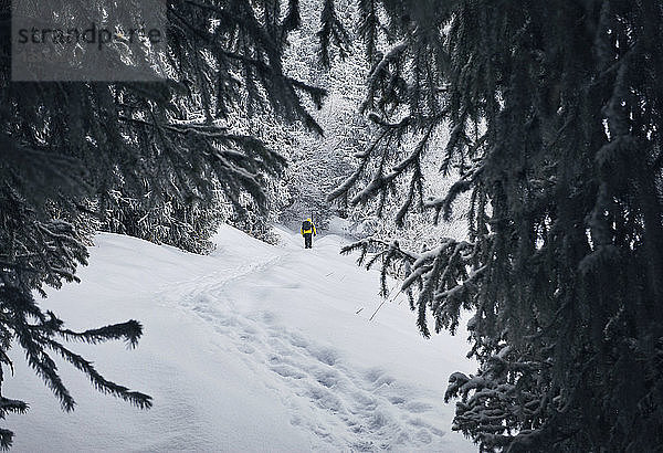 Rückansicht eines männlichen Wanderers mit Rucksack  der auf einem schneebedeckten Feld im Wald steht
