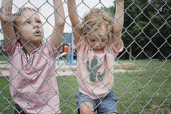 Süße verspielte Geschwister klettern im Park auf den Maschendrahtzaun