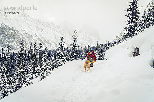 Wanderer mit Golden Retriever spielt auf schneebedecktem Feld im Wald