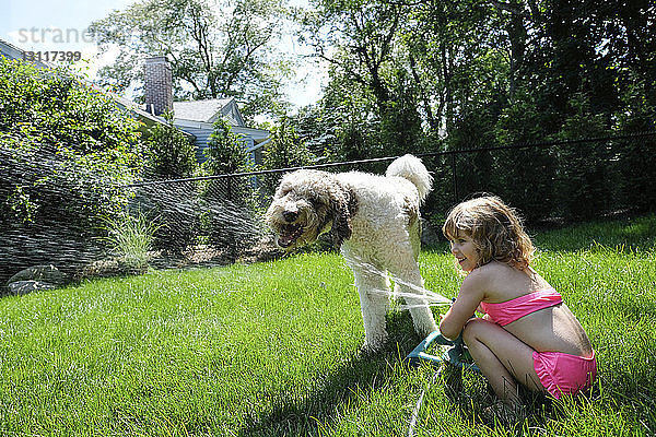 Seitenansicht eines glücklichen Mädchens  das mit einem Sprinkler im Hof Wasser auf den Hund spritzt