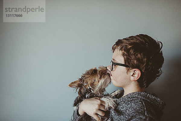 Yorkshire Terrier leckt zu Hause das Gesicht des Jungen an der Wand