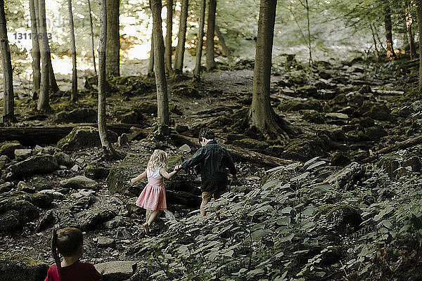 Hochwinkelaufnahme von Geschwistern  die im Wald auf Felsen gehen