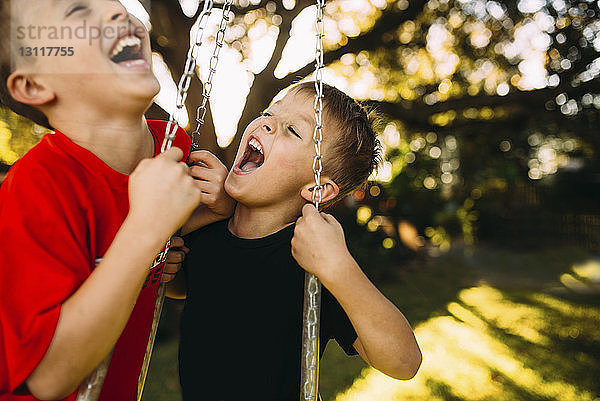 Fröhliche Brüder halten Ketten  während sie auf einer Reifenschaukel auf dem Spielplatz schaukeln