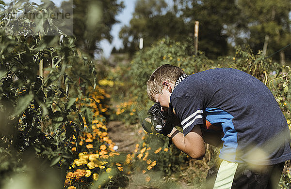 Seitenansicht eines Jungen  der Blumen mit der Kamera fotografiert