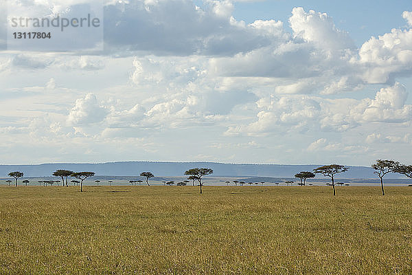 Landschaftsansicht des Serengeti-Nationalparks gegen den Himmel