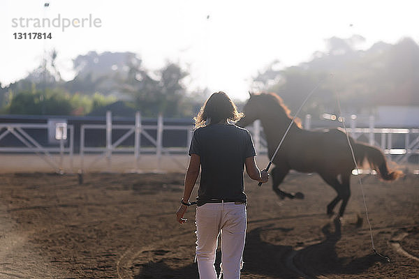 Rückansicht einer Frau  die ein Pferd auf der Ranch trainiert