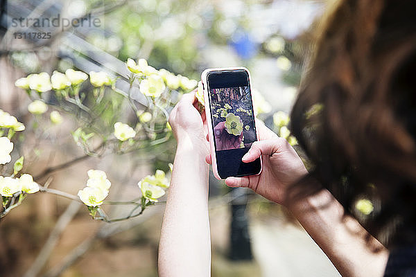 Ausschnitt einer Frau  die eine Blume am Fussweg fotografiert