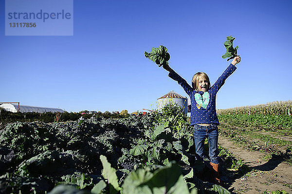 Porträt eines glücklichen Mädchens  das Blattgemüse hält  während es auf einem Bauernhof vor klarem Himmel an einem sonnigen Tag steht