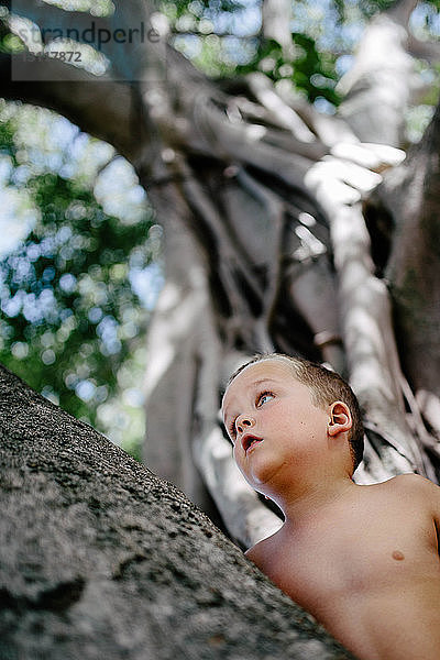 Niedrigwinkel-Ansicht eines Jungen ohne Hemd  der nachdenklich nach oben schaut  während er am Baum im Park steht