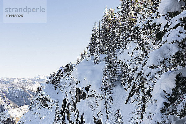 Schneebedeckte Bäume auf einem Berg vor klarem Himmel im Yosemite-Nationalpark