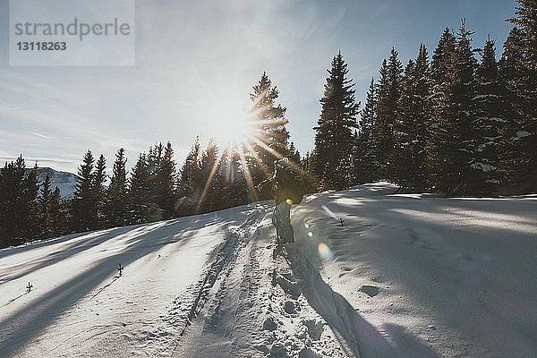 Frau steht bei Sonnenschein auf verschneitem Feld vor Nadelbäumen