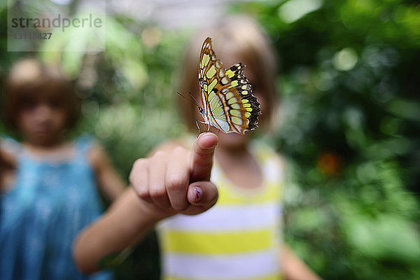 Schmetterling am Finger eines Mädchens im Park
