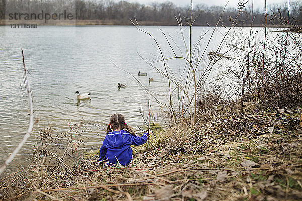 Mädchen schaut Enten an  die im Teich im Park schwimmen