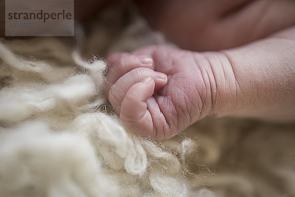 Nahaufnahme der Hand eines kleinen Jungen auf dem Teppich