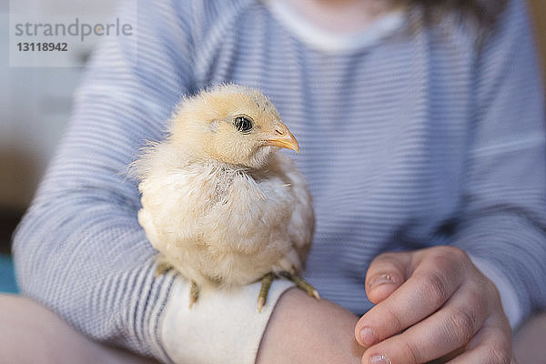 Mädchen mit Hühnerbaby im Mittelteil