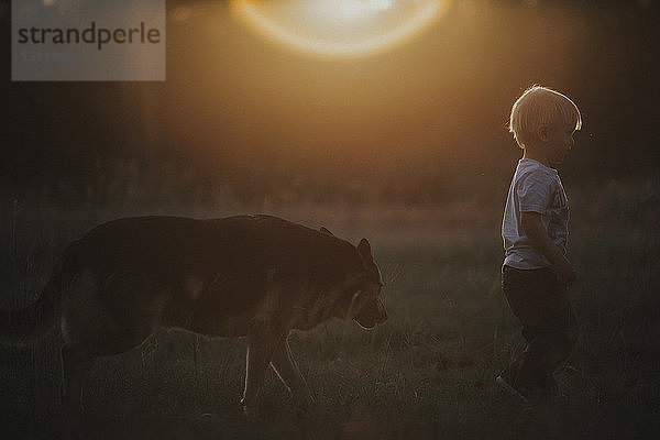 Seitenansicht von Junge und Hund beim Spaziergang auf dem Feld